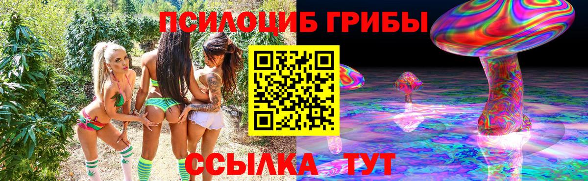 Ивантеевка  Галлюциногенные грибы Cubensis  Вход с VPN 